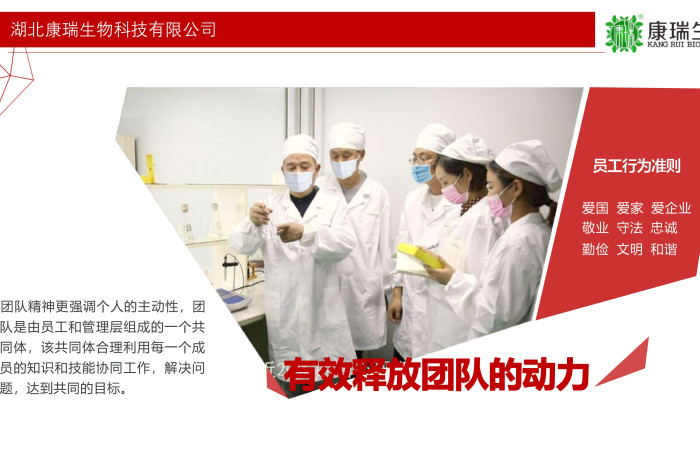 小批量功能食品代工，就選湖北康瑞生物！支持專業(yè)打樣與靈活定制