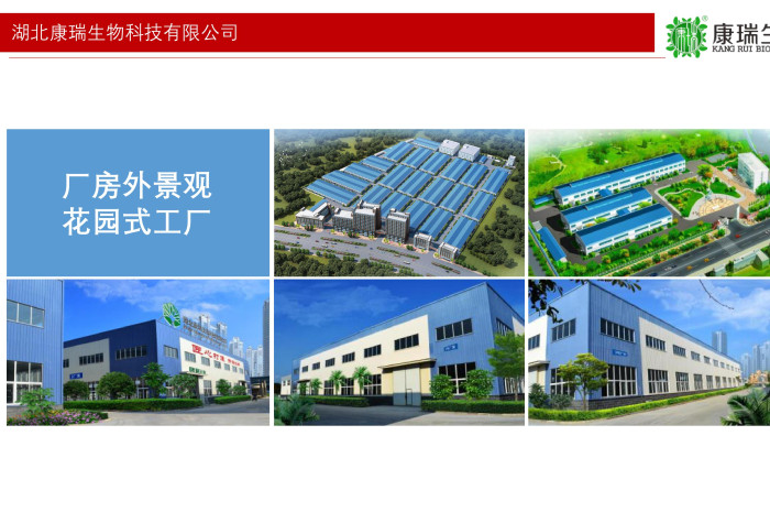 膏滋貼牌不止是“換個包裝”！從配方研發(fā)到國潮設(shè)計，一站式服務(wù)讓你的品牌脫穎而出