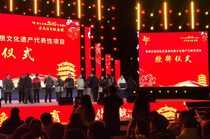 喜訊！康瑞生物“膏方八繁制作技藝”與“濃縮丸傳統制作技藝”正式列入非物質文化遺產名錄(圖1)